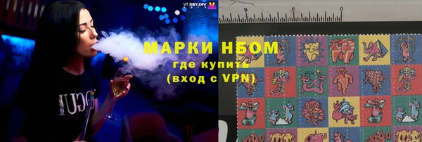 шишки Абаза