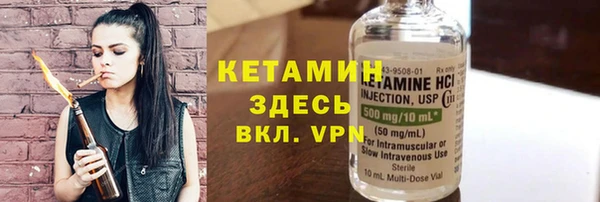 шишки Абаза