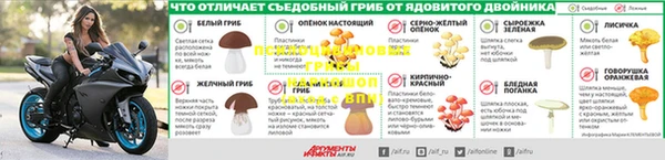 СК Абинск