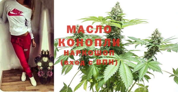 шишки Абаза