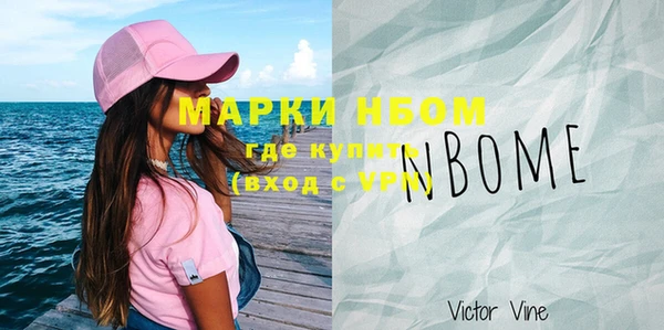 шишки Абаза