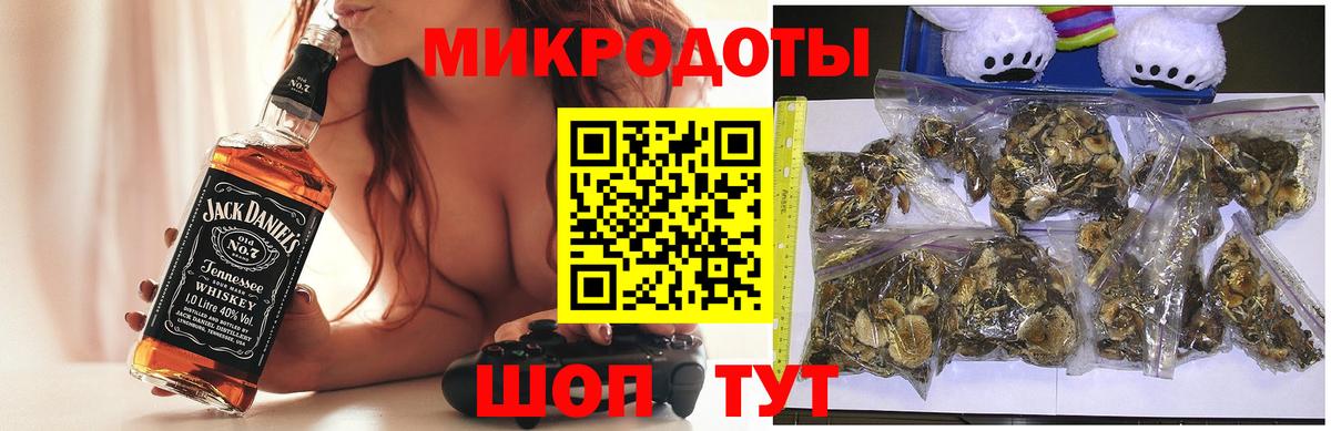 Галлюциногенные грибы Psilocybe  Галлюциногенные грибы мицелий  Липецк  Вход с VPN 