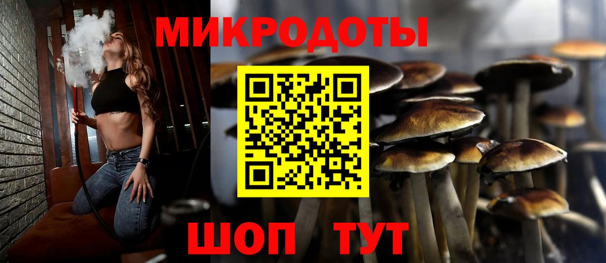 Галлюциногенные грибы Psilocybine cubensis Липецк